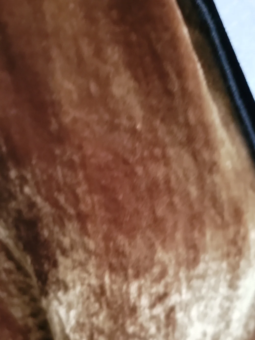 Luxurious Brown Velvet Shawl, Wrap, Throw -